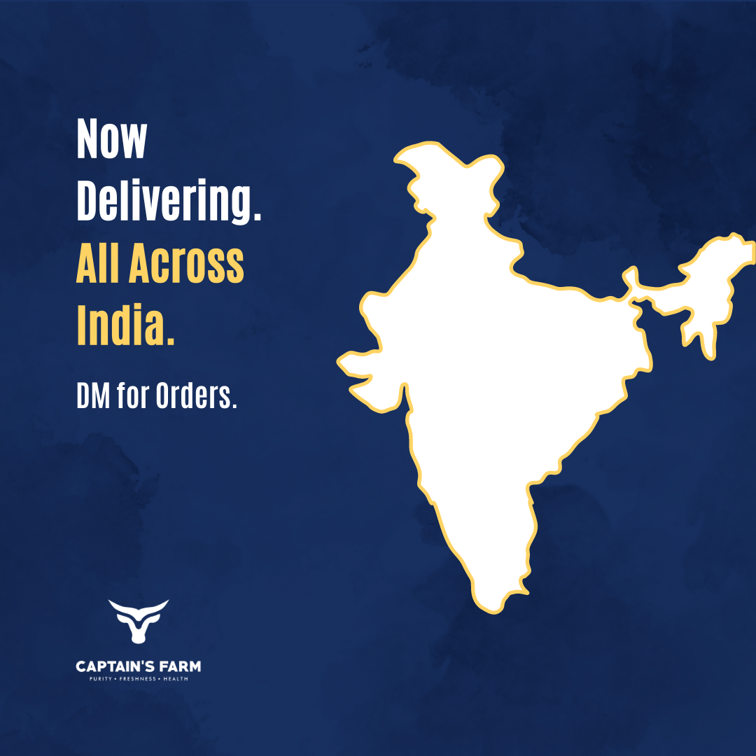 Gir Cow Ghee Captain's Farm 3 Gir Cow Ghee Captain's Farm