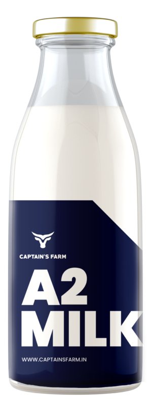 Gir Cow A2 Milk